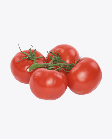 Free Tomatoes on Branch