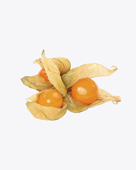 Free Physalis Berries with Husk