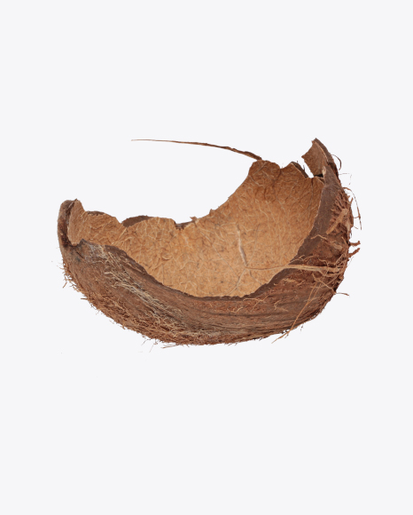 Free Coconut Shell