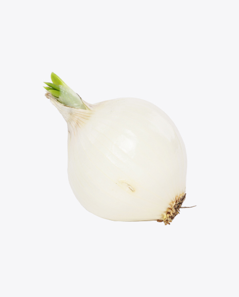 Free Onion