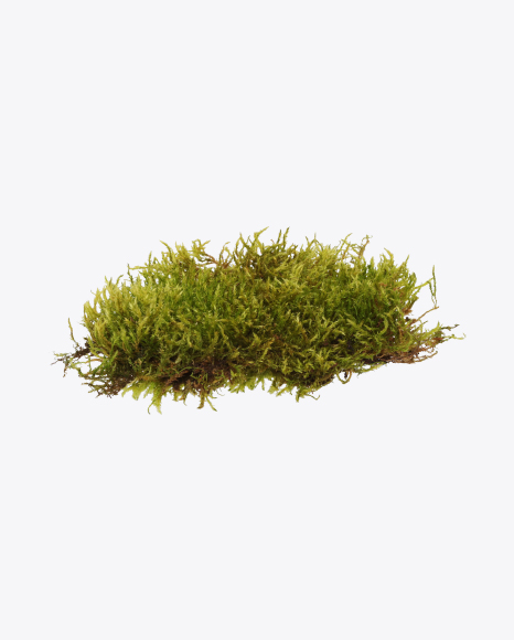 Free Moss