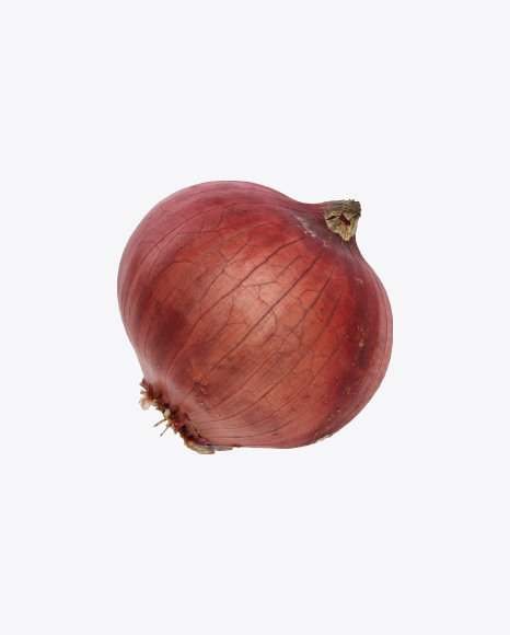 Free Red Onion Bulb