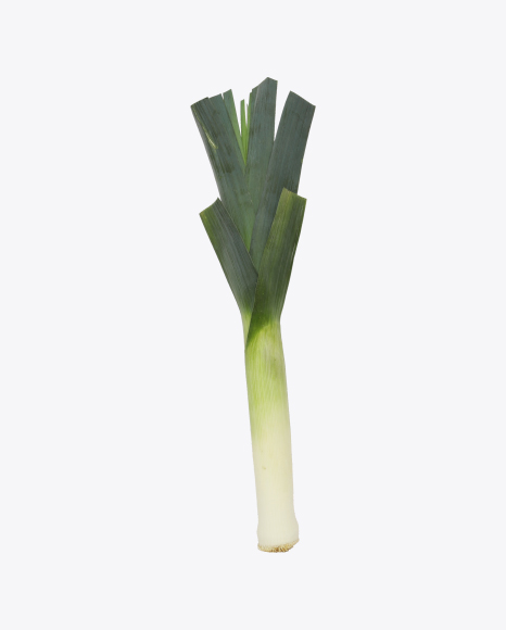 Free Leek Onion