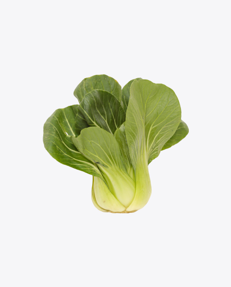 Free Bok Choy Cabbage