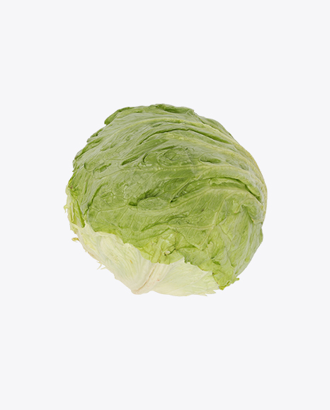 Free Iceberg Lettuce