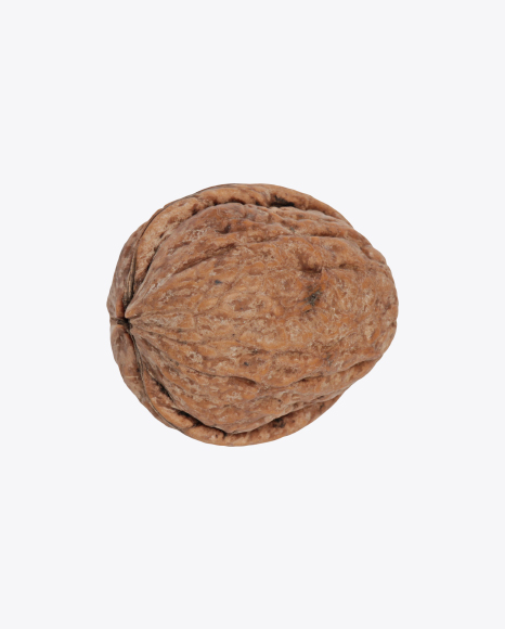 Free Walnut Shell