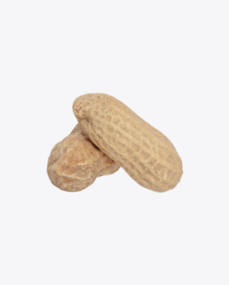 Free Two Peanuts in Shells