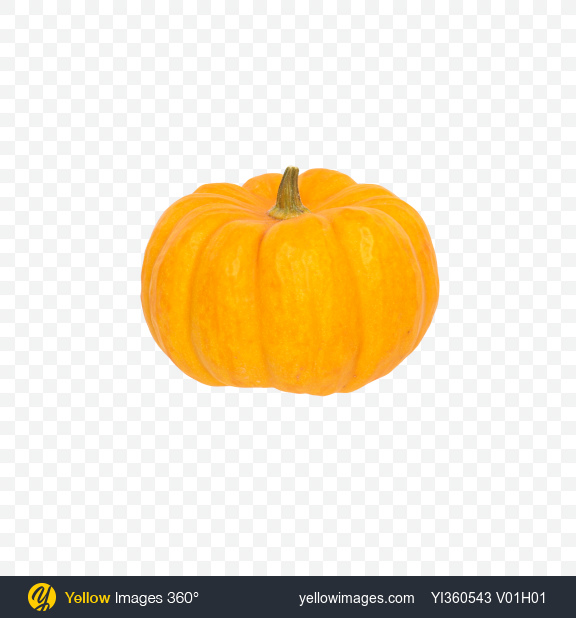 Download Download Yellow Pumpkin Transparent Png On Yellow Images 360 PSD Mockup Templates