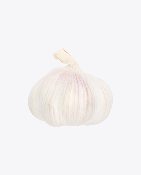 Free White Garlic Bulb