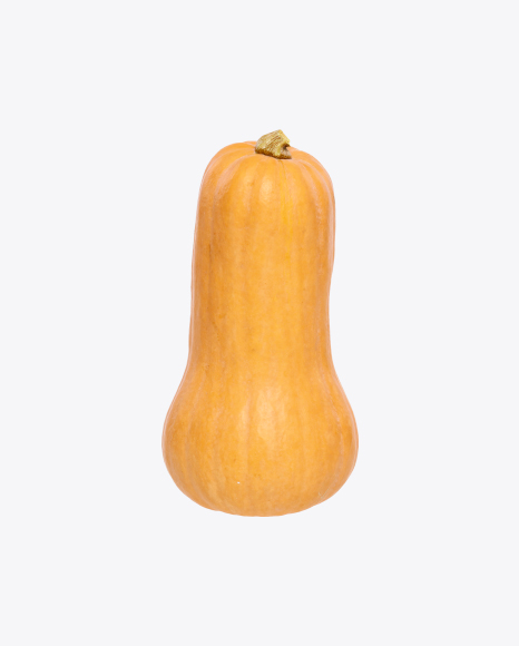 Free Butternut Pumpkin