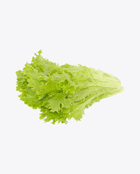 Free Frisée Salad Leaves
