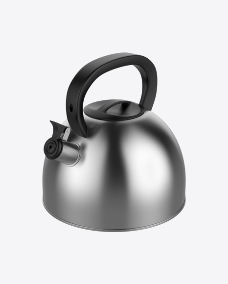 Free Stainless Steel Kettle
