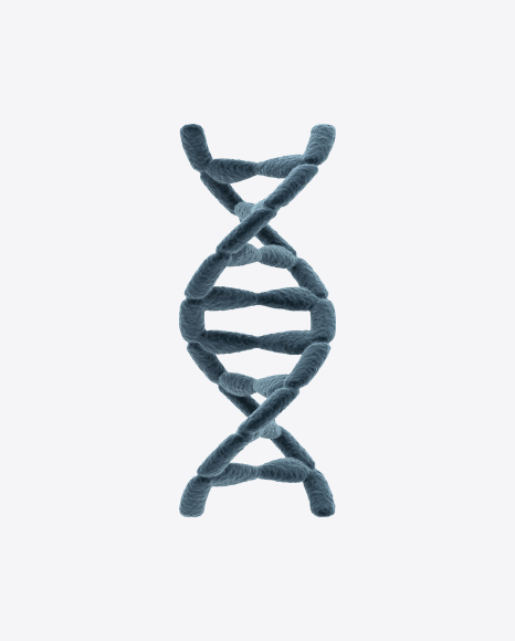 Free DNA Helix