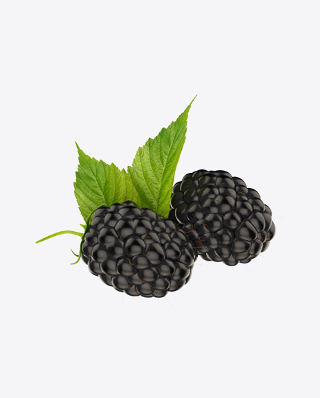 Free Blackberries