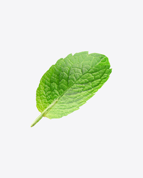 Free Mint Leaf