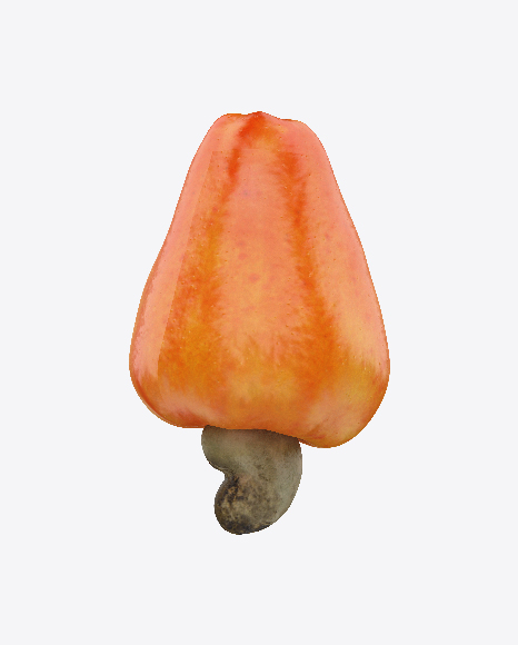 Free Cashew Fruit