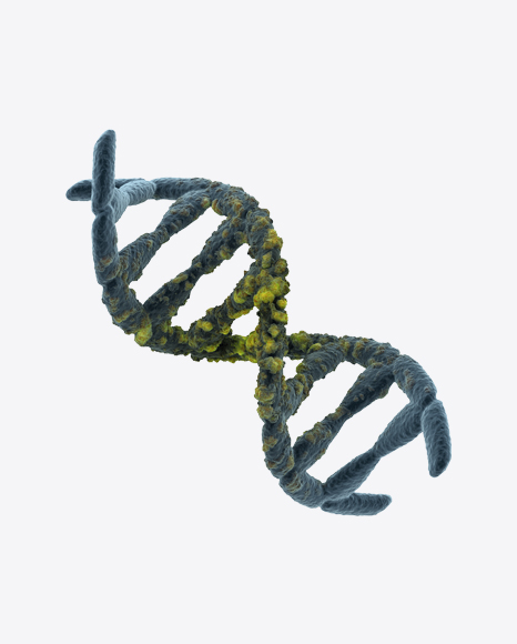 Free DNA Helix with Flaw