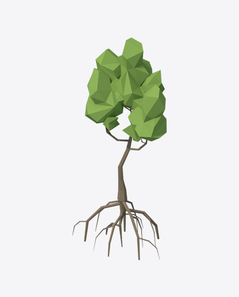 Free Low Poly Mangrove Tree