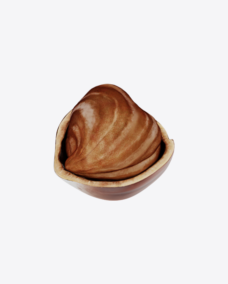 Free Hazelnut in Shell