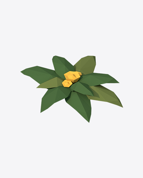 Free Low Poly Flower