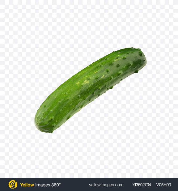 Download Cucumber Transparent Png On Yellow Images 360