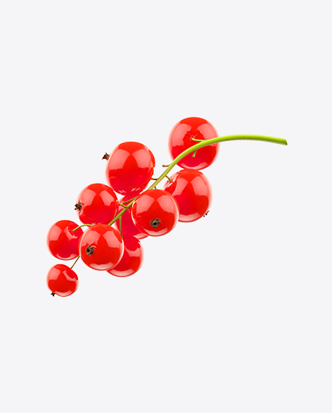 Free Branch of Red Currant