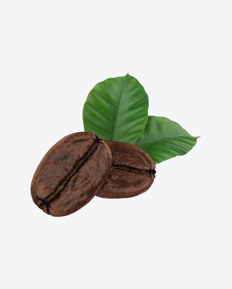 Free Coffee Beans & Leaves