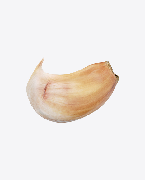 download clove of garlic transparent png on yellow images 360 garlic transparent png on yellow images