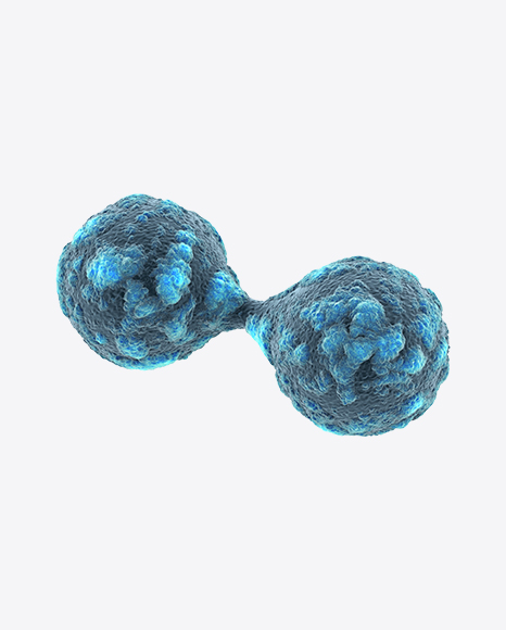 Free Cell Fusion with Flaw