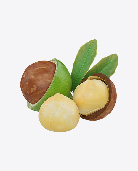 Free Macadamia