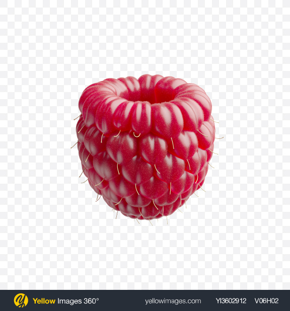 download raspberry transparent png on yellow images 360 download raspberry transparent png on