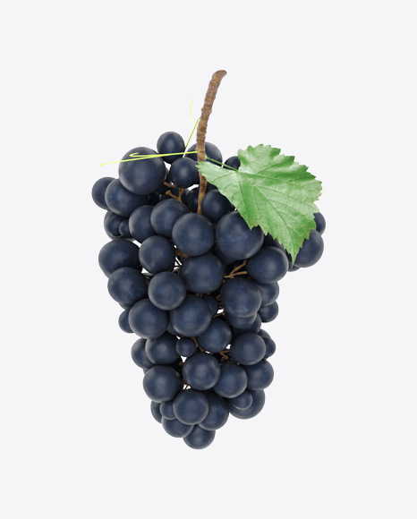 Free Bunch of Wine Grapes