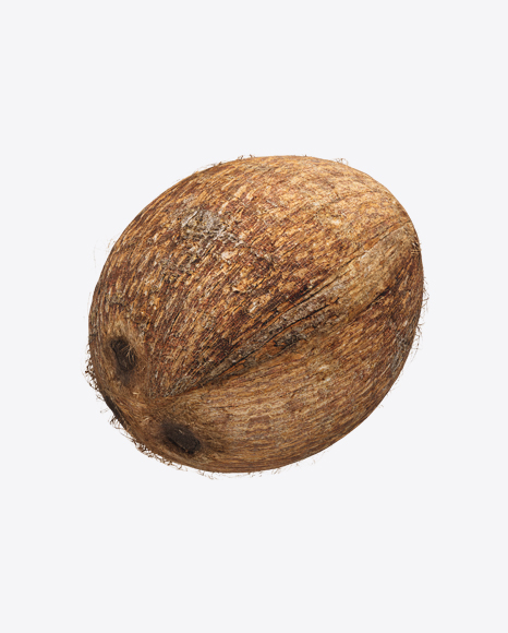 Free Coconut