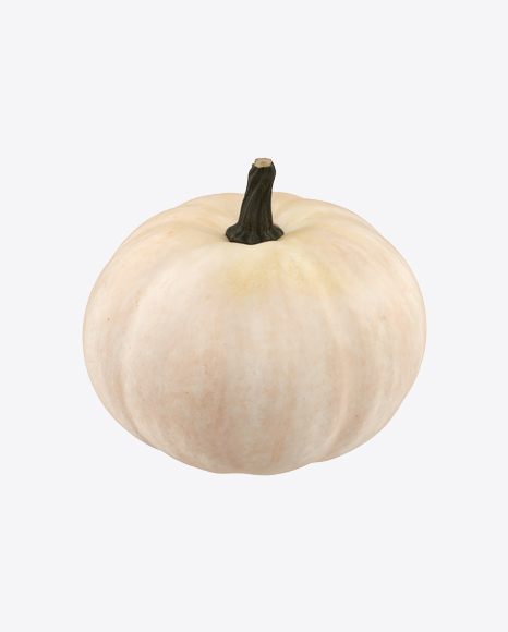 Free White Pumpkin