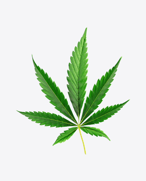 Free Cannabis Leaf