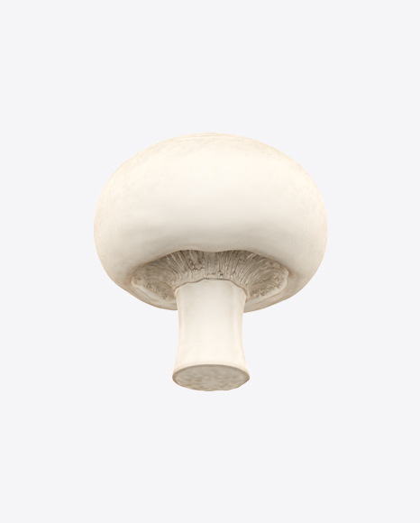 download champignon transparent png on yellow images 360 download champignon transparent png on