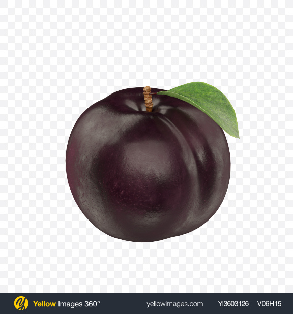 download black plum with leaf transparent png on yellow images 360 black plum with leaf transparent png