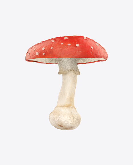 Free Amanita