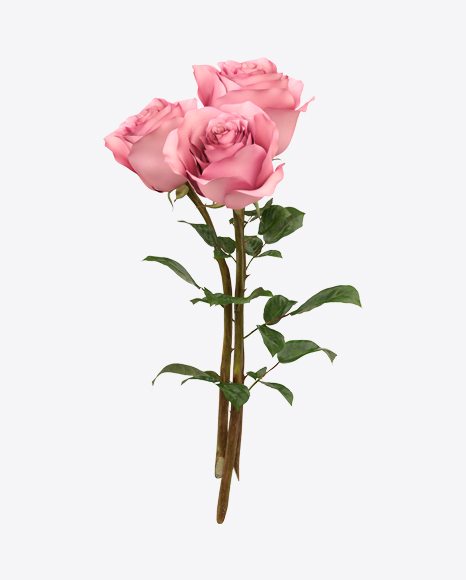 Free Pink Rose Bouquet