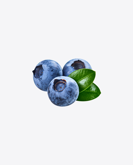 Free Blueberries w/ Leaves