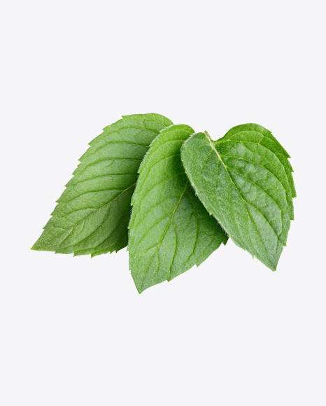 Free Mint Leaves