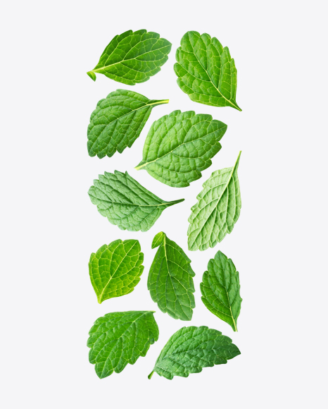 Free Mint Leaves