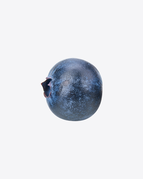 Free Blueberry