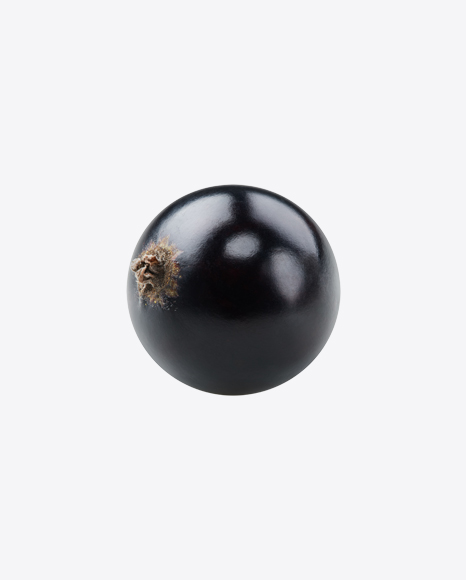Free Black Currant Berry