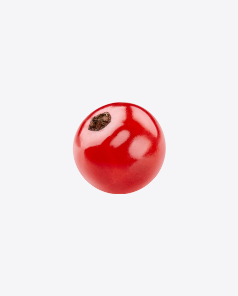 Free Red Currant Berry