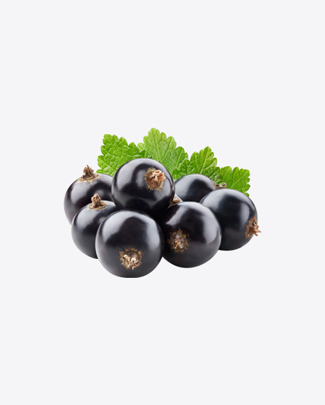 Free Black Currant Berries w/ Leaf