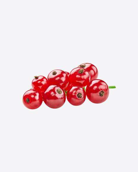 Free Red Currant Branch