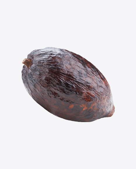 Free Cocoa Fruit