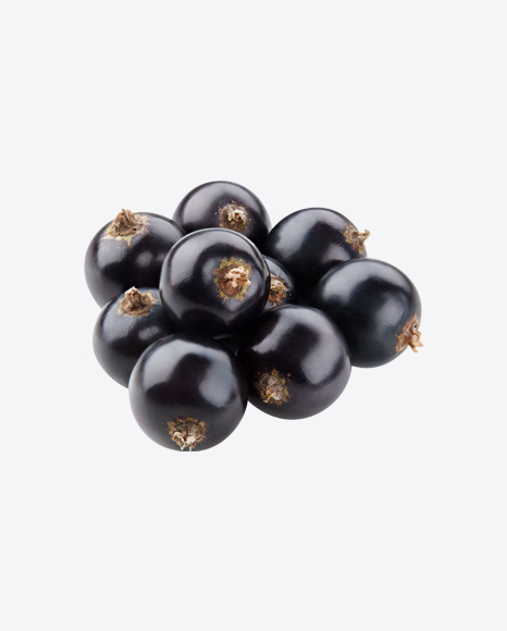 Free Black Currant Berries