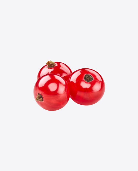 Free Red Currant Berries